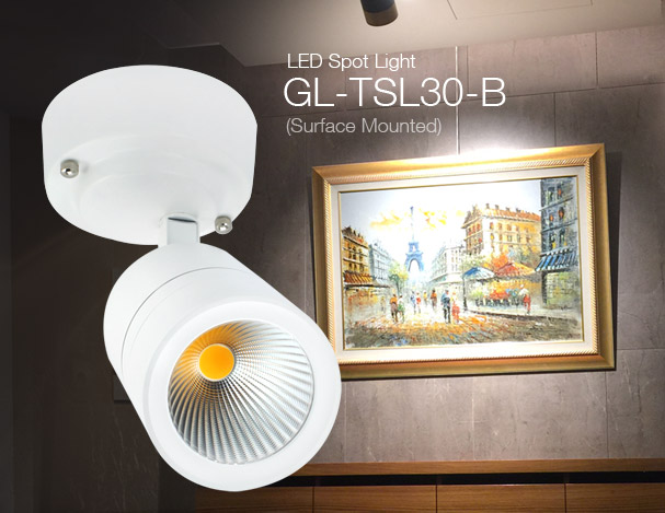 Spot Light (Surface Mounted)